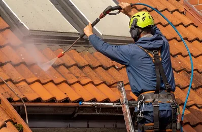 Démoussage et hydrofuge de toiture à Chasnay
